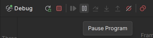 Pause Program